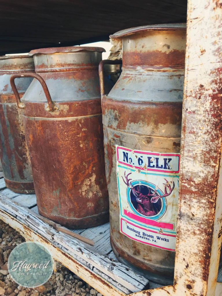 Antique Milk Cans Round Top Texas Antiques Week